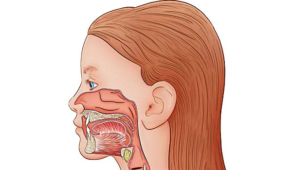 medical illustration designed by artmedstudio.com