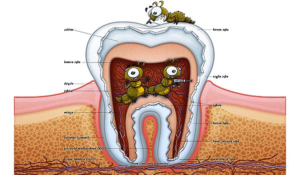 medical illustration designed by artmedstudio.com